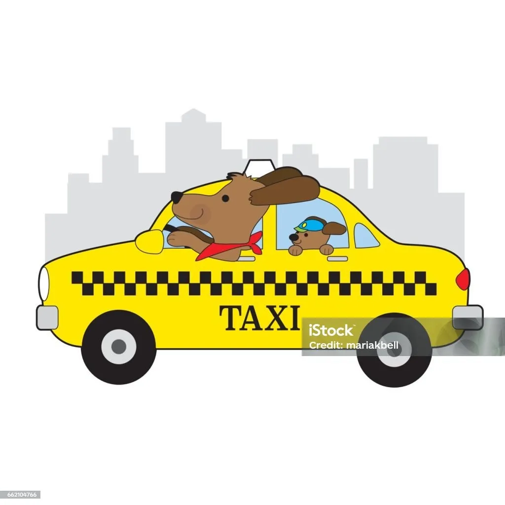 🚚「宅配のプロ」から「ペットの守り人」へ――そして未来は？🐶✨